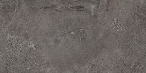 Stone Age  Anthracite 30x60 